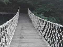 -陕西省红河谷森林公园