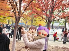 -辽宁大学(崇山校区)