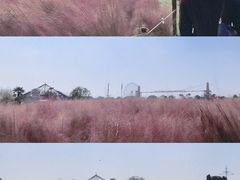 -花博汇(知音花月夜)