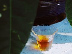 茉莉冷萃-咖啡·湖(德清店)