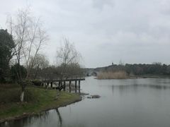 -尚贤河湿地