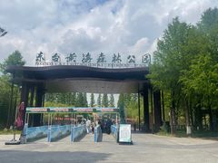 -黄海国家森林公园