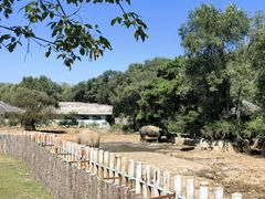 -沈阳森林动物园