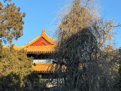 -北京国子监胡同