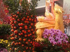 -越秀西湖花市(广州城市广场花卉店)
