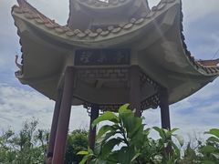 -海南铜鼓岭景区