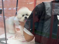 -FAELING PETS美天灵宠物(合生汇店)