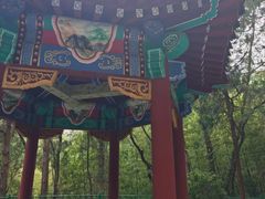-四门塔风景区