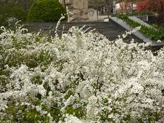 -北京鹫峰国家森林公园