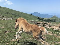 -灵山