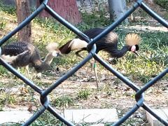 -石家庄市动物园