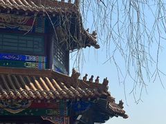-北陵公园