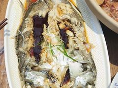 -老山东·山东菜(鲁菜名店)