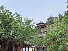 -宫事颐庭·老佛爷贵寿下午茶(颐和园店)