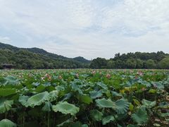 -杭州香格里拉饭店