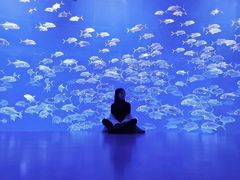 -哈尔滨波塞冬海底世界