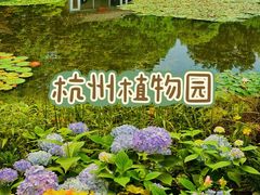 -杭州植物园