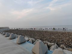 -天津东疆湾沙滩景区