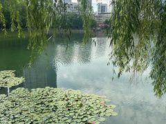 -宝岛公园