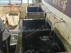 -夏家大锅台炖鱼馆