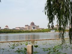 景点-莲花池公园