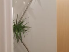 -青曼SPA·按摩·采耳·足道(龙之梦店)