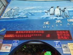 -蓬莱欧乐堡海洋极地世界