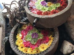 -中8楼风尚云南菜(颐堤港店)
