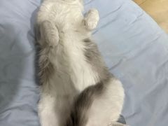 -美美宠物诊疗中心·异宠·骨科(滨江东信分院)