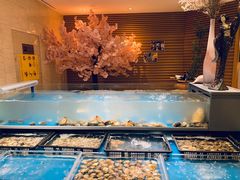水产区-盛宴自助餐厅(运达喜来登店)