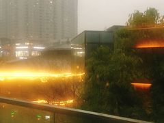 -芙蓉堂(武汉天地店)