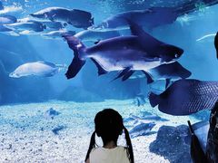 -多彩贵州城极地海洋世界