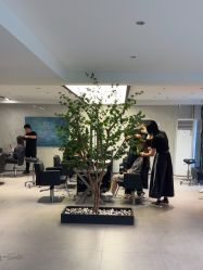 -付军剪艺JF ProSalon