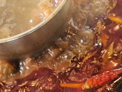 -金鼎雪山牦牛杂火锅(理县总店)