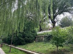 -元大都城垣遗址公园