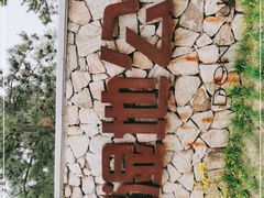 -东郊湿地公园