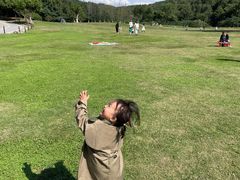 -羊山湖公园