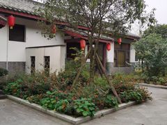 -桂湖森林公园