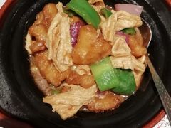 红烧支竹斑腩煲-新宝餐厅(流塘店)