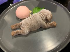 冰淇淋沙皮狗-赫帝拉航空主题餐厅(南宁店)