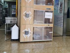 -A猫a狗全科·犬猫异宠·芥西宠物医院(南开总院)