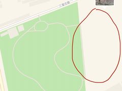 -苏家坨柳林村二月兰花海