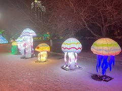 -沈阳奥体冰雪嘉年华