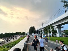 -宝安西湾红树林湿地公园