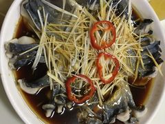 -煲来饱去冷水鱼