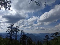 -秦岭风景区