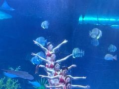 -泉城欧乐堡海洋极地世界