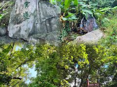 -梧桐山风景名胜区