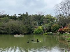 -天生桥景区