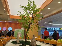 -喜家自助小火锅(卓悦里店)